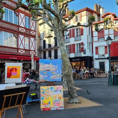 公寓 Inedit Duplex 圣让－德吕兹